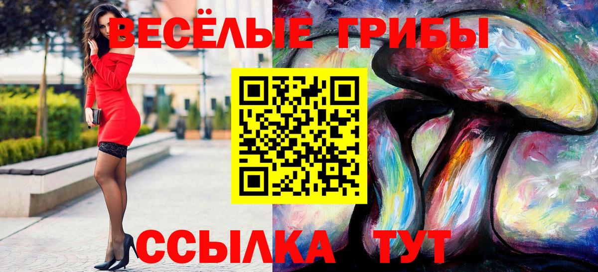 Галлюциногенные грибы MAGIC MUSHROOMS  Вход с VPN  Северск 