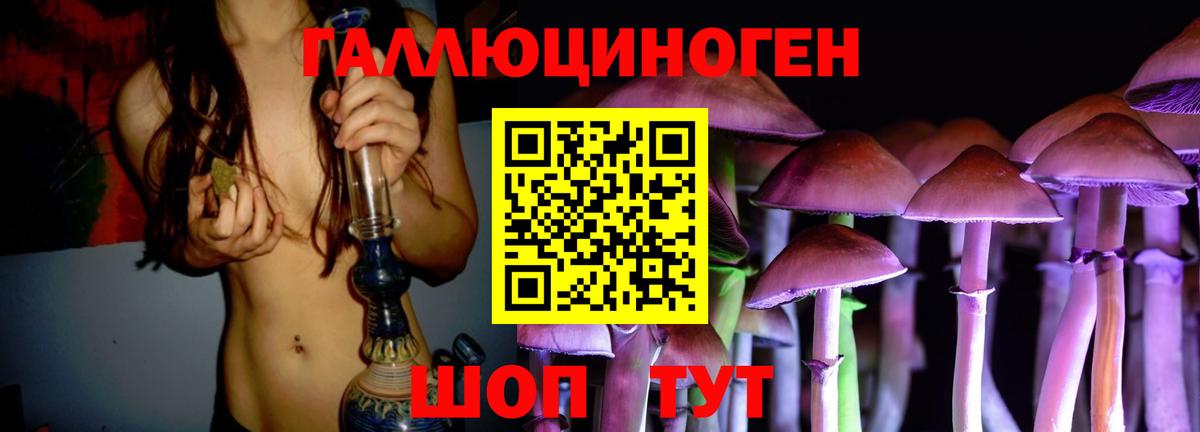 Псилоцибиновые грибы ЛСД Северск
